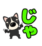 【デカ文字】鼻デカチワワ2（個別スタンプ：4）