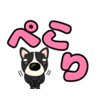 【デカ文字】鼻デカチワワ2（個別スタンプ：11）