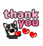 【デカ文字】鼻デカチワワ2（個別スタンプ：12）