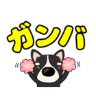 【デカ文字】鼻デカチワワ2（個別スタンプ：16）