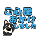 【デカ文字】鼻デカチワワ2（個別スタンプ：25）