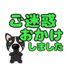 【デカ文字】鼻デカチワワ2（個別スタンプ：26）