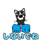 【デカ文字】鼻デカチワワ2（個別スタンプ：30）