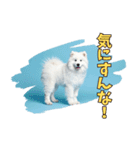 もふもふサモエド犬生活（個別スタンプ：19）