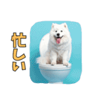 もふもふサモエド犬生活（個別スタンプ：33）