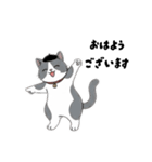 はちわれちゃんの1年間（個別スタンプ：1）