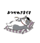 はちわれちゃんの1年間（個別スタンプ：3）