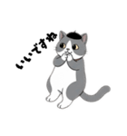 はちわれちゃんの1年間（個別スタンプ：6）