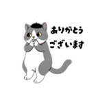 はちわれちゃんの1年間（個別スタンプ：7）