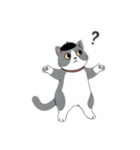 はちわれちゃんの1年間（個別スタンプ：13）