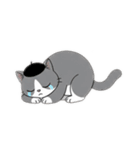 はちわれちゃんの1年間（個別スタンプ：16）