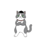 はちわれちゃんの1年間（個別スタンプ：17）