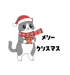 はちわれちゃんの1年間（個別スタンプ：37）