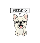 白フレンチブルドッグ毎日使えるスタンプ（個別スタンプ：1）