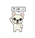 白フレンチブルドッグ毎日使えるスタンプ（個別スタンプ：6）
