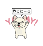 白フレンチブルドッグ毎日使えるスタンプ（個別スタンプ：7）