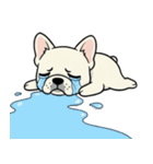 白フレンチブルドッグ毎日使えるスタンプ（個別スタンプ：8）