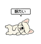 白フレンチブルドッグ毎日使えるスタンプ（個別スタンプ：10）