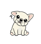白フレンチブルドッグ毎日使えるスタンプ（個別スタンプ：11）