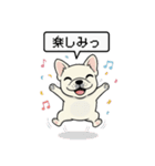白フレンチブルドッグ毎日使えるスタンプ（個別スタンプ：12）