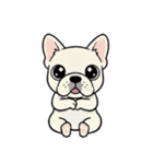 白フレンチブルドッグ毎日使えるスタンプ（個別スタンプ：13）