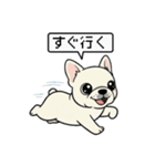 白フレンチブルドッグ毎日使えるスタンプ（個別スタンプ：14）