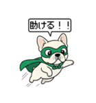 白フレンチブルドッグ毎日使えるスタンプ（個別スタンプ：17）