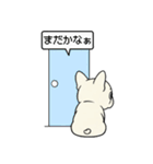白フレンチブルドッグ毎日使えるスタンプ（個別スタンプ：20）