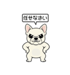 白フレンチブルドッグ毎日使えるスタンプ（個別スタンプ：21）