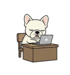 白フレンチブルドッグ毎日使えるスタンプ（個別スタンプ：22）
