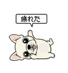 白フレンチブルドッグ毎日使えるスタンプ（個別スタンプ：23）
