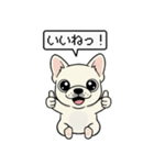 白フレンチブルドッグ毎日使えるスタンプ（個別スタンプ：24）