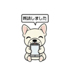 白フレンチブルドッグ毎日使えるスタンプ（個別スタンプ：25）