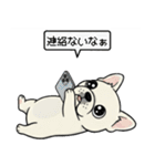 白フレンチブルドッグ毎日使えるスタンプ（個別スタンプ：26）