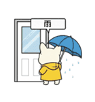 白フレンチブルドッグ毎日使えるスタンプ（個別スタンプ：30）