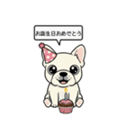 白フレンチブルドッグ毎日使えるスタンプ（個別スタンプ：32）