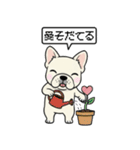 白フレンチブルドッグ毎日使えるスタンプ（個別スタンプ：40）