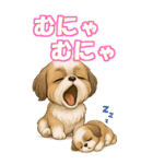 シズちゃんの癒まくりスタンプ♡（個別スタンプ：35）