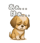 シズちゃんの癒まくりスタンプ♡（個別スタンプ：40）