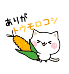 気づかいのできるネコ♪毎日ダジャレ★（個別スタンプ：13）