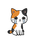 シュールでかわいい三毛猫のスタンプ（個別スタンプ：3）