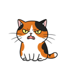 シュールでかわいい三毛猫のスタンプ（個別スタンプ：4）
