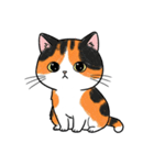 シュールでかわいい三毛猫のスタンプ（個別スタンプ：5）