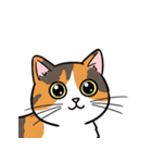 シュールでかわいい三毛猫のスタンプ（個別スタンプ：6）