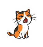 シュールでかわいい三毛猫のスタンプ（個別スタンプ：7）