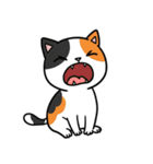 シュールでかわいい三毛猫のスタンプ（個別スタンプ：8）