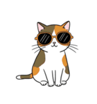 シュールでかわいい三毛猫のスタンプ（個別スタンプ：11）