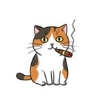 シュールでかわいい三毛猫のスタンプ（個別スタンプ：12）