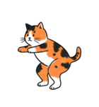 シュールでかわいい三毛猫のスタンプ（個別スタンプ：16）
