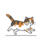 シュールでかわいい三毛猫のスタンプ（個別スタンプ：20）